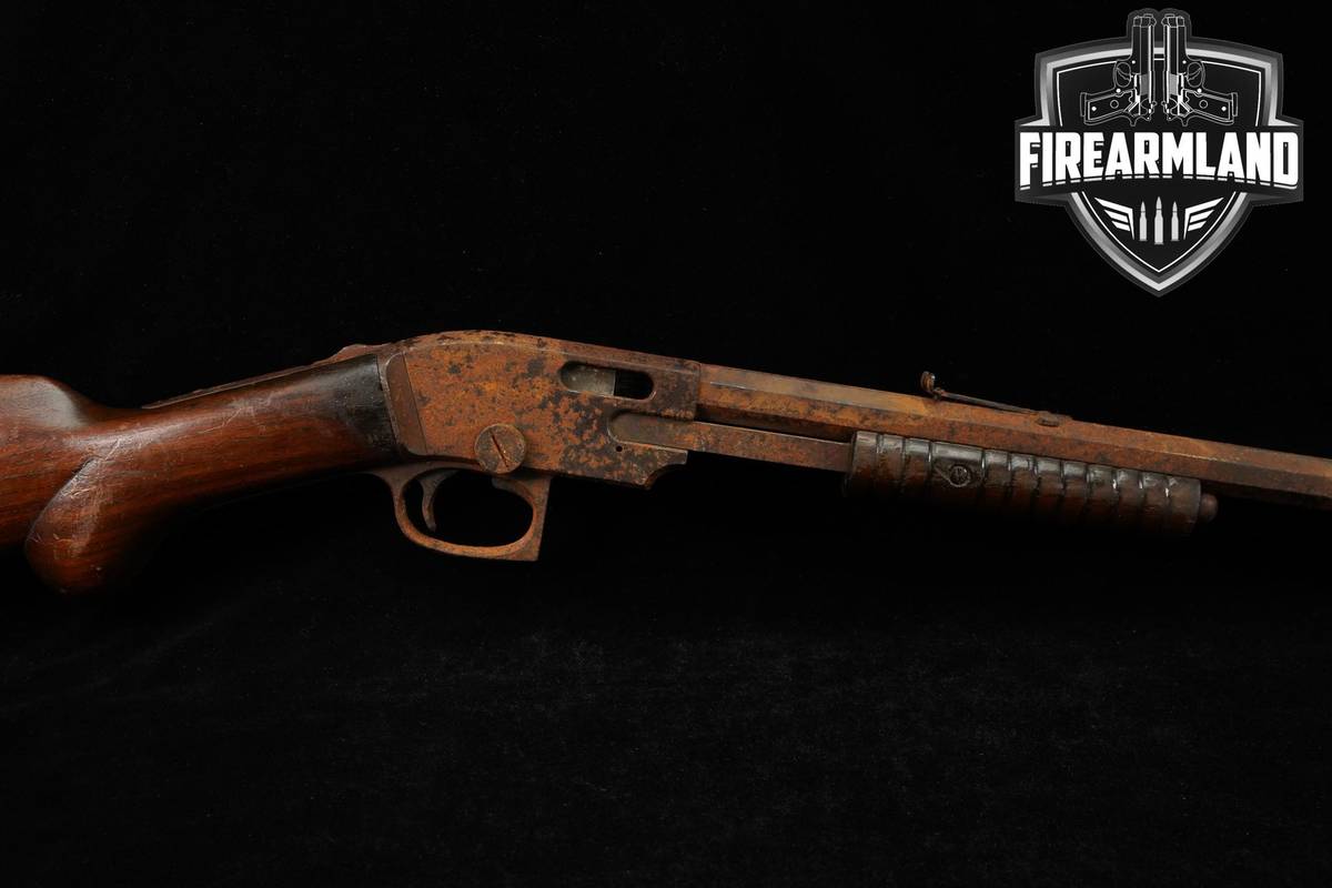 Savage Arms Model 29 22 S/L/LR 24" Blued & Walnut