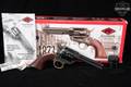F.lli Pietta 1873 Gen II; Davidson's Exclusive .22 WMR Color Case-Hardened & Blued in Excellent Condition Image 2