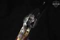 F.lli Pietta 1873 Gen II; Davidson's Exclusive .22 WMR Color Case-Hardened & Blued in Excellent Condition Image 5