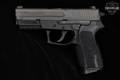 Sig Sauer SP2022 Nitron Carry 9mm Luger Nitron in Excellent Condition Image 3
