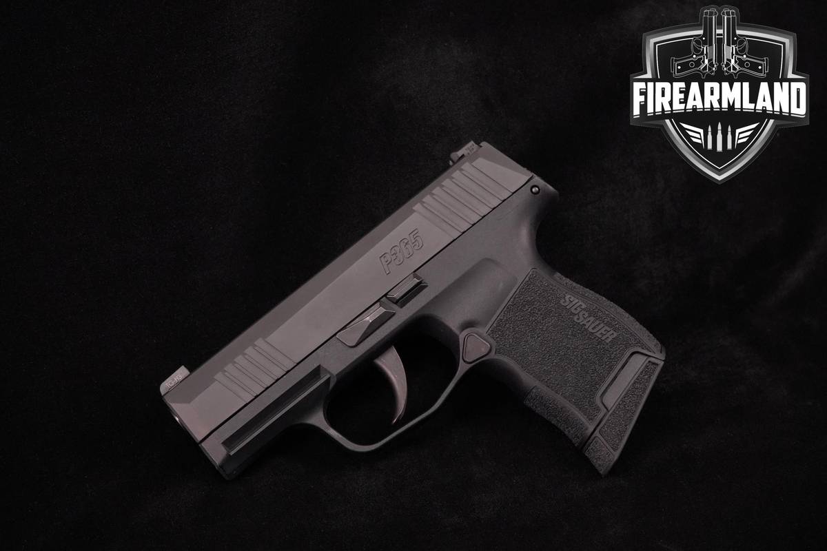 CARRY Sig Sauer P365 Micro-Compact 9mm 3.1" P-365 +2 MAGS & ORIG BOX