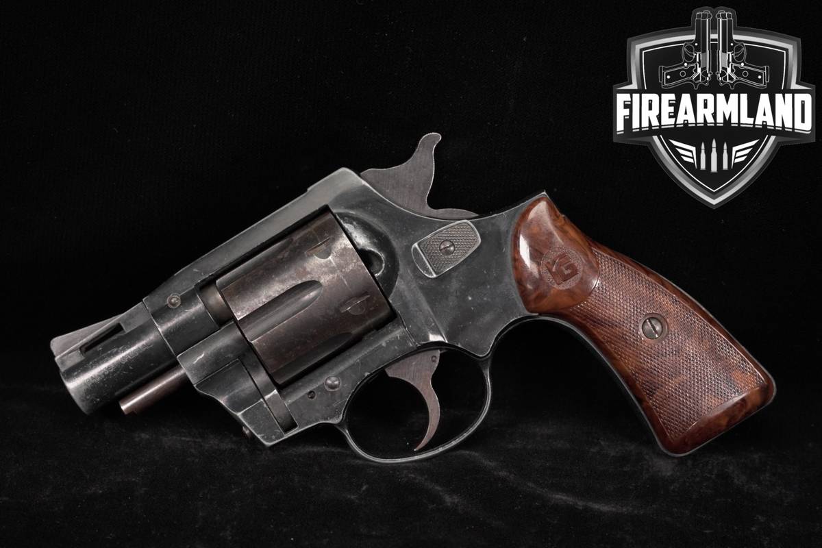 RG Industries 40 38 Special 2" Blued DA/SA RG40