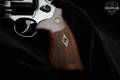 2019 Smith & Wesson (S&W) Model 29-10 .44 Mag. Blued in Excellent Condition Image 3