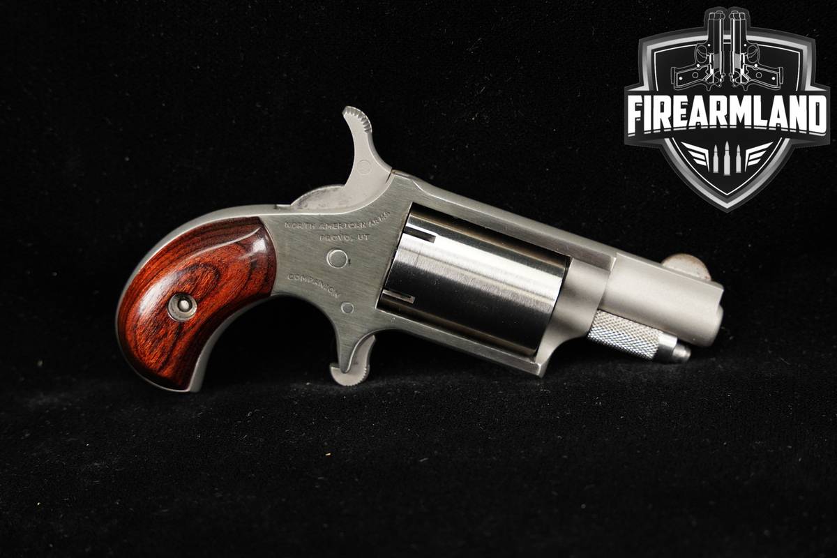 North American Arms NAA Companion 22 1.125" Stainless +CASE
