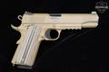 Tisas 1911 Duty Raider, Series 70 .45 ACP FDE in Excellent Condition Image 3