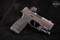 Sig Sauer P365-AXG X-Macro; Legion; RXX; ROMEO-X Compact 9mm Luger Legion Gray in Very Good Condition Image 3