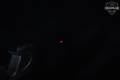 Viridian Weapon Technologies E-Series Red Lase Taurus 709 Slim Black in New - Old Stock Condition Image 5