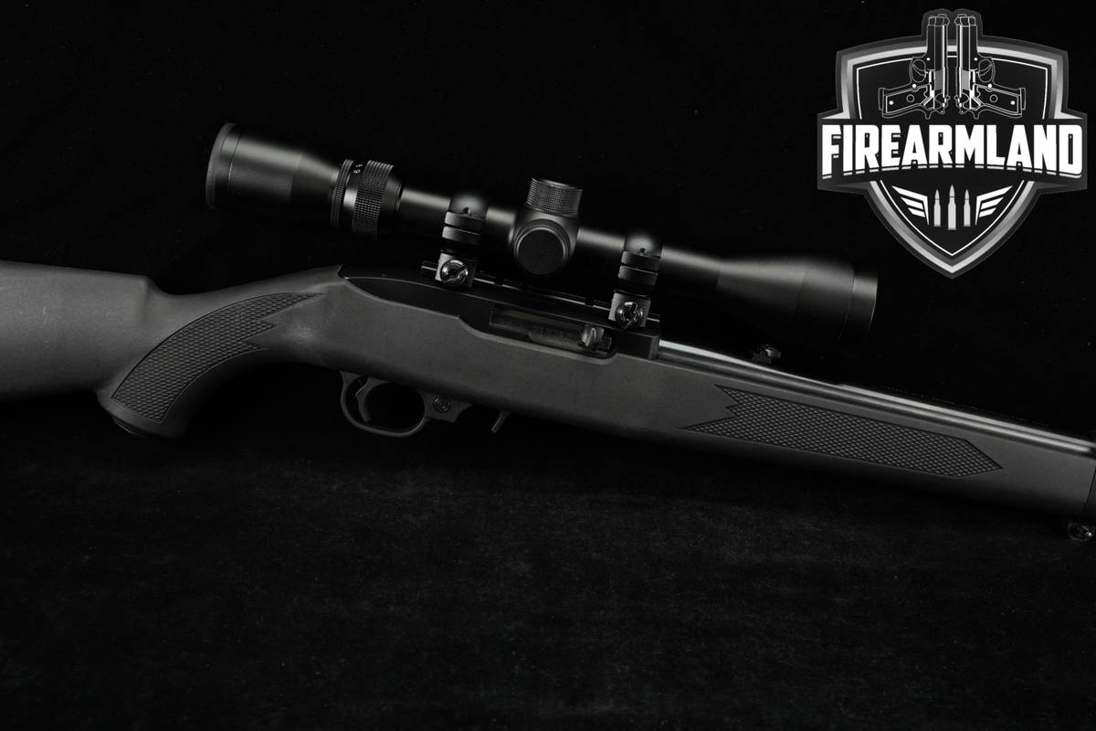 Ruger 10/22 Carbine 22LR 18.5" Two-Tone Black & Silver +WEAVER SCOPE