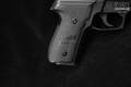 Sig Sauer P229 .40 S&W Nitron in Very Good Condition Image 4