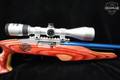 KIDD Custom Ruger 10/22 USA Shooting Team .22 LR Matte Stainless in Good Condition Image 5