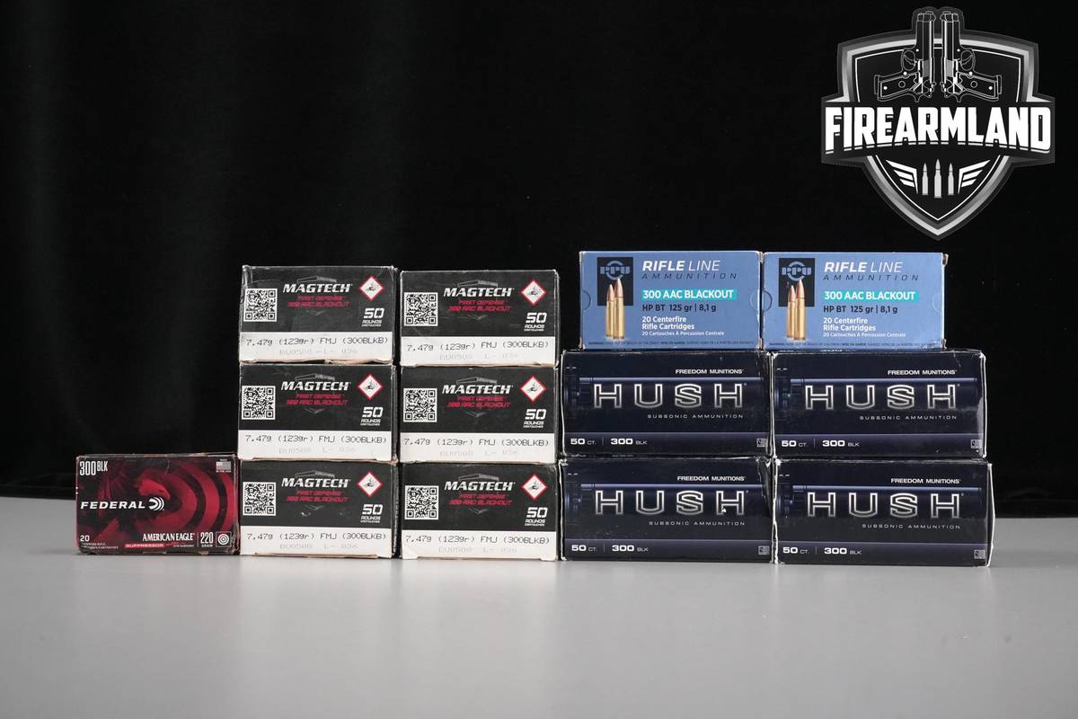 560 RDS! 300 Blackout Ammo 300 BLK AAC