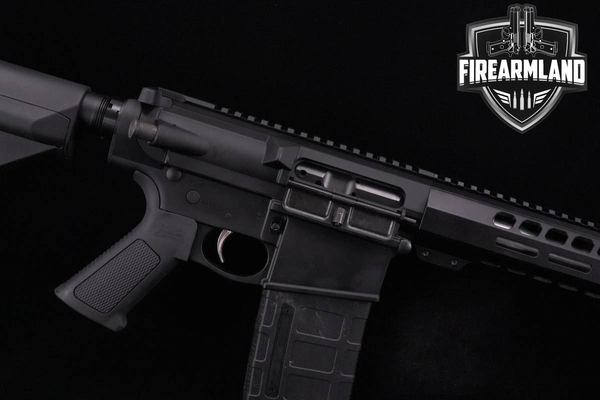 Palmetto State Armory (PSA) G3-10 308 Win Palmetto-State-G3-10 AR-10 AR10