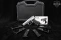 Israeli Military Industries (IMI) Desert Eagle Stainless Semi-Compact .45 ACP Stainless Steel in Excellent Condition Image 2