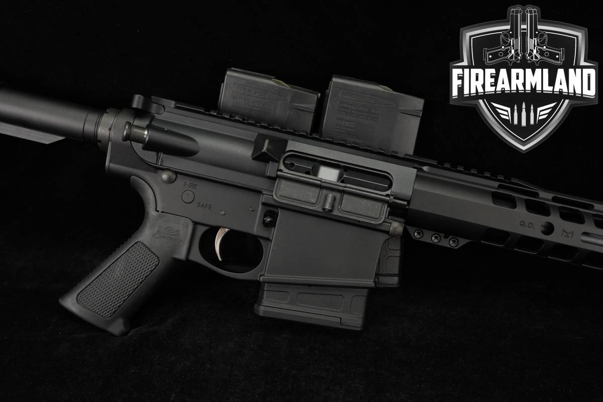 Palmetto State Armory PSA PA-10 Gen 3 308 Win AR10 AR PA10 +THREE MAGS