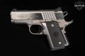 Para Ordnance Warthog Stainless .45 ACP Stainless in Very Good Condition Image 3