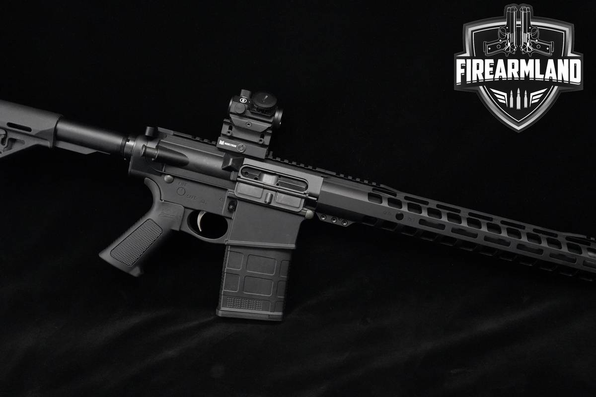 Palmetto State Armory G3-10 308 Win 21" PSA-G3-10 PA-10 AR-10 2MAGS & OPTIC