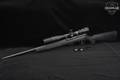 Savage Arms Model 93R17 FV .17 HMR Blued & Synthetic in Very Good Condition Image 2