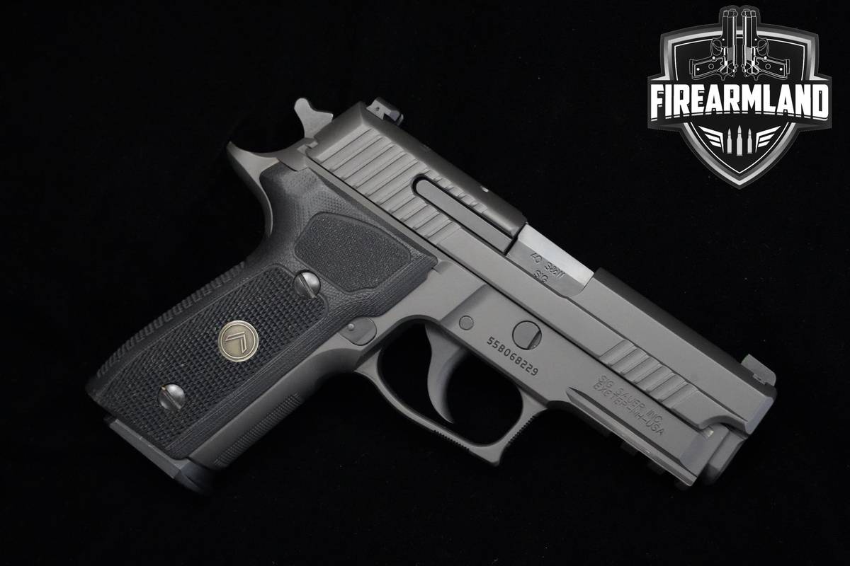 Sig Sauer P229 Legion 40 S&W 3.9" Legion Gray Sig-Sauer P229 P-229 +HOLSTER