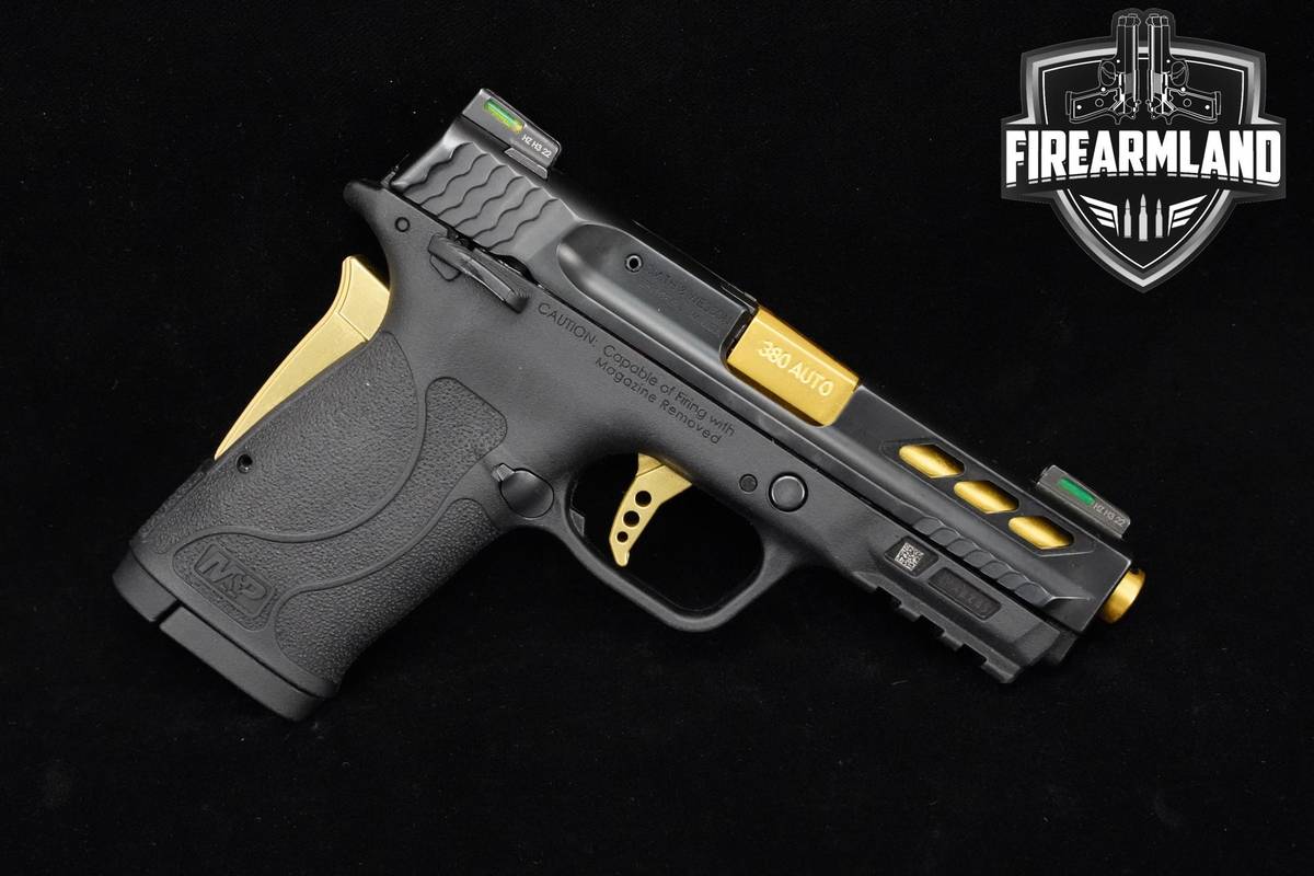 Smith & Wesson S&W M&P380 Shield EZ PC 380 ACP S&W Sheild-EZ +2 MAGS
