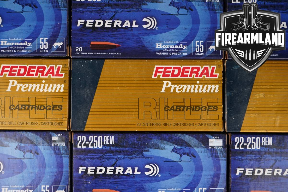 240 RDS! 22-250 Rem Ammo Remington Ammunition