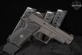 Sig Sauer P220 Legion SAO .45 ACP Legion Gray in Good Condition Image 2