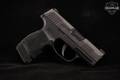 2019 Sig Sauer P365 9mm Luger (9x19 Para) Nitron in Good Condition Image 3