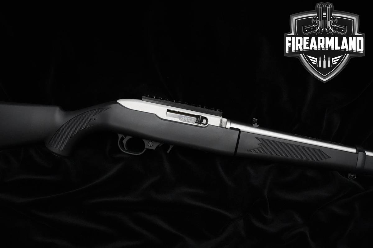 Ruger 10/22 Takedown 22LR 10/22 Ruger 18.50" Stainless Rifle +2 MAGS