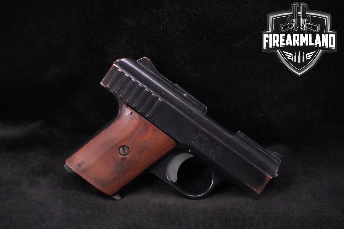 Raven Arms P-25 .25 ACP (6.35mm) 2.5" Blued P25