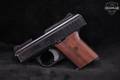 Raven Arms P-25 .25 ACP (6.35mm) Blued in Good Condition Image 2