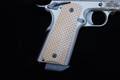 Kimber Desert Warrior .45 ACP FDE (Flat Dark Earth) in Excellent Condition Image 3