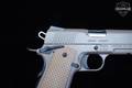 Kimber Desert Warrior .45 ACP FDE (Flat Dark Earth) in Excellent Condition Image 4