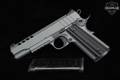 Tisas 1911 Night Stalker Series 70 .45 ACP Platinum Grey Cerakote in Very Good Condition Image 2