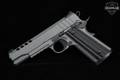 Tisas 1911 Night Stalker Series 70 .45 ACP Platinum Grey Cerakote in Very Good Condition Image 4