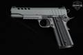 Tisas 1911 Night Stalker Series 70 .45 ACP Platinum Grey Cerakote in Very Good Condition Image 5