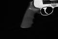 Smith & Wesson (S&W) Model 460V .460 S&W Mag. Stainless Steel in Good Condition Image 3