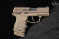 Sig Sauer P365 NRA Edition, Lipsey's Exclusive 9mm Luger Coyote Tan in Very Good Condition Image 4