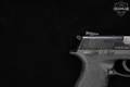 Taurus PT809 9mm Luger (9x19 Para) Black in Very Good Condition Image 5