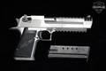 Magnum Research Desert Eagle Mark XIX .50 AE Brushed Chrome in Good Condition Image 2