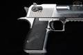 Magnum Research Desert Eagle Mark XIX .50 AE Brushed Chrome in Good Condition Image 4