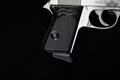 Walther PPK Stainless .380 ACP Stainless Steel in Good Condition Image 3