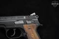 2020 CZ 2075 RAMI 9mm Luger Black in Excellent Condition Image 3