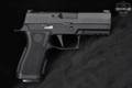 Sig Sauer P320 Carry 9mm Luger Black in Very Good Condition Image 4