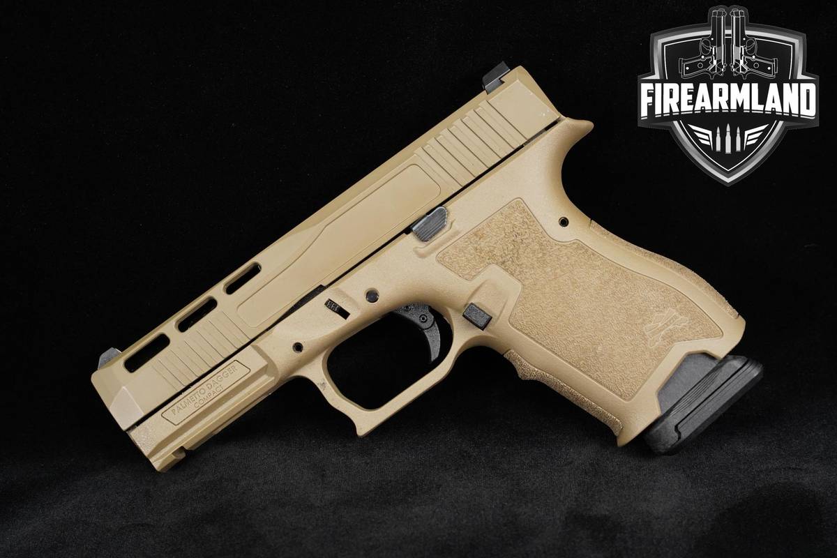 Palmetto State Armory Dagger Compact Extreme Carry 9mm 3.9" +10 MAGS