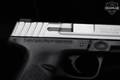 Smith & Wesson (S&W) SD40 VE .40 S&W Matte Stainless in Excellent Condition Image 4