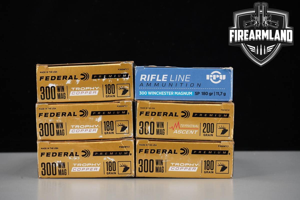 120 RDS! 300 Winchester Magnum Ammo 300Win Mag