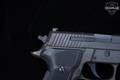 Sig Sauer P229 Legion 9mm Luger Legion Gray in Very Good Condition Image 4