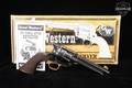 2011 F.lli Pietta Model 1873 Single Action Army .45 Colt Blued/Case Hardened/Brass in Good Condition Image 2