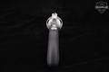 Charter Arms Pitbull .45 ACP Stainless in Excellent Condition Image 4