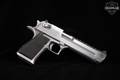Magnum Research Desert Eagle Mark XIX .50 AE Stainless Steel in Very Good Condition Image 3
