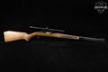 Marlin Firearms Co. Model 60 Glenfield .22 LR Blued & Hardwood in Good Condition Image 3